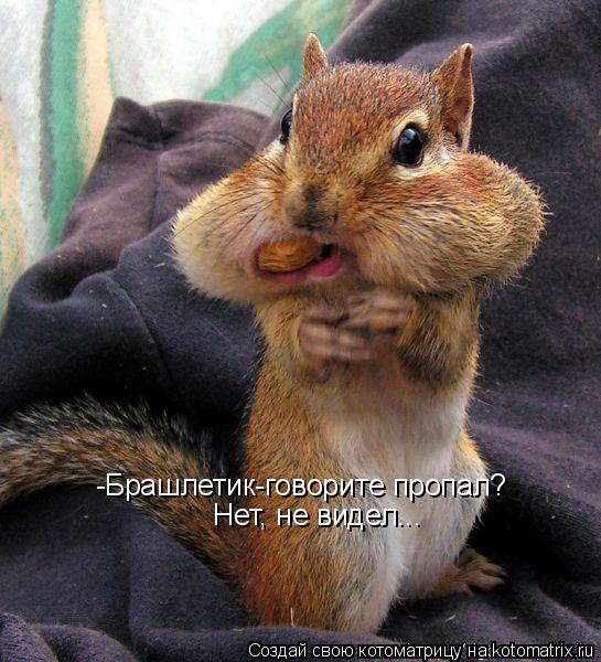 Котоматрица: -Брашлетик-говорите пропал?  Нет, не видел...