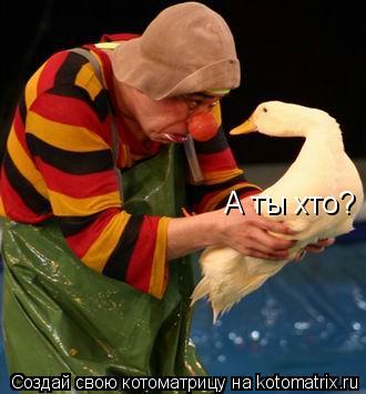Котоматрица: А ты хто?