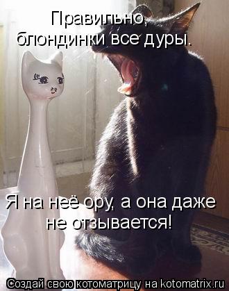 Правильно, блондинки все дуры. Я на неё ору, а она даже не отзывается!... Котоматрица: Правильно, блондинки все дуры. Я на неё ору, а она даже не отзывается!