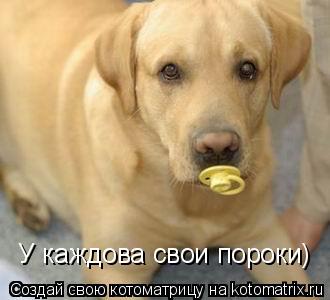 У каждова свои пороки)... Котоматрица: У каждова свои пороки)