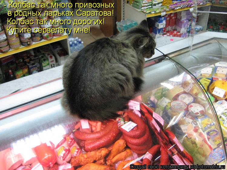 - Колбас так много привозных в родных ларьках Саратова! Колбас так много дорогих! Купите сервелату мн... Котоматрица: - Колбас так много привозных в родных ларьках Саратова! Колбас так много дорогих! Купите сервелату мне!
