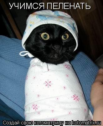 УЧИМСЯ ПЕЛЕНАТЬ... Котоматрица: УЧИМСЯ ПЕЛЕНАТЬ