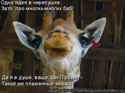 Одна идея в черепушке, Зато, про многих-многих баб! Да я в душе, ваще, как Пушкин - Такой же пламенны... Котоматрица: Одна идея в черепушке, Зато, про многих-многих баб! Да я в душе, ваще, как Пушкин - Такой же пламенный жираф!