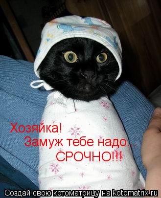 Хозяйка! Замуж тебе надо... СРОЧНО!!!... Котоматрица: Хозяйка! Замуж тебе надо... СРОЧНО!!!