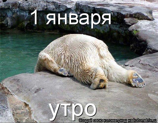 1 января утро утро... Котоматрица: 1 января утро утро