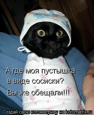 А где моя пустышка в виде сосиски? Вы же обещали!!!... Котоматрица: А где моя пустышка в виде сосиски? Вы же обещали!!!