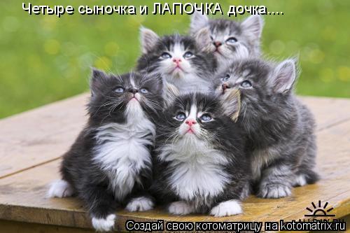 Четыре сыночка и ЛАПОЧКА дочка....... Котоматрица: Четыре сыночка и ЛАПОЧКА дочка....