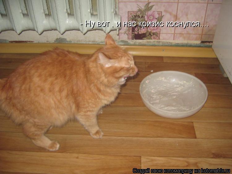 - Ну вот , и нас кризис коснулся....... Котоматрица: - Ну вот , и нас кризис коснулся....