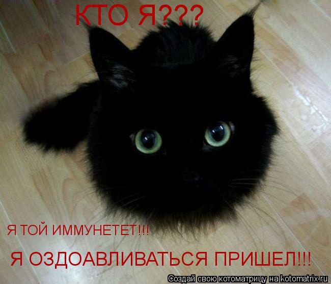 КТО Я??? Я ТОЙ ИММУНЕТЕТ!!! Я ОЗДОАВЛИВАТЬСЯ ПРИШЕЛ!!!... Котоматрица: КТО Я??? Я ТОЙ ИММУНЕТЕТ!!! Я ОЗДОАВЛИВАТЬСЯ ПРИШЕЛ!!!