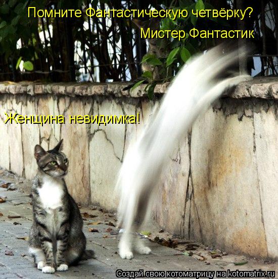 Помните Фантастическую четвёрку? Мистер Фантастик Женщина невидимка!... Котоматрица: Помните Фантастическую четвёрку? Мистер Фантастик Женщина невидимка!