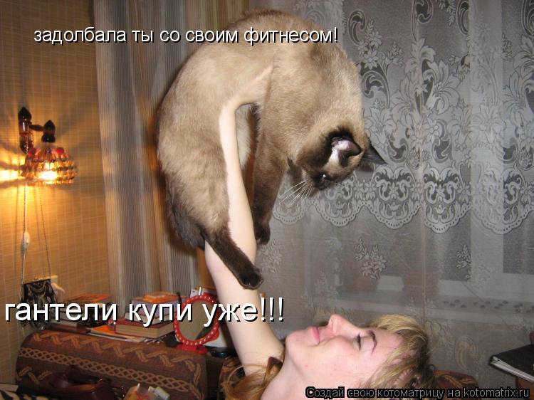 задолбала ты со своим фитнесом! гантели купи уже!!!... Котоматрица: задолбала ты со своим фитнесом! гантели купи уже!!!