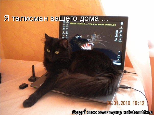 Я талисман вашего дома ...... Котоматрица: Я талисман вашего дома ...