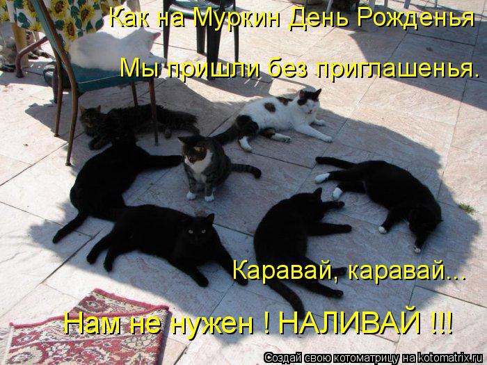 Как на Муркин День Рожденья Мы пришли без приглашенья. Каравай, каравай... Нам не нужен ! НАЛИВАЙ !!!... Котоматрица: Как на Муркин День Рожденья Мы пришли без приглашенья. Каравай, каравай... Нам не нужен ! НАЛИВАЙ !!!