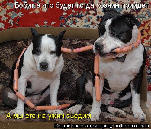 Бобик а что будет когда хозяин прийдёт А мы его на ужин сьедим... Котоматрица: Бобик а что будет когда хозяин прийдёт А мы его на ужин сьедим