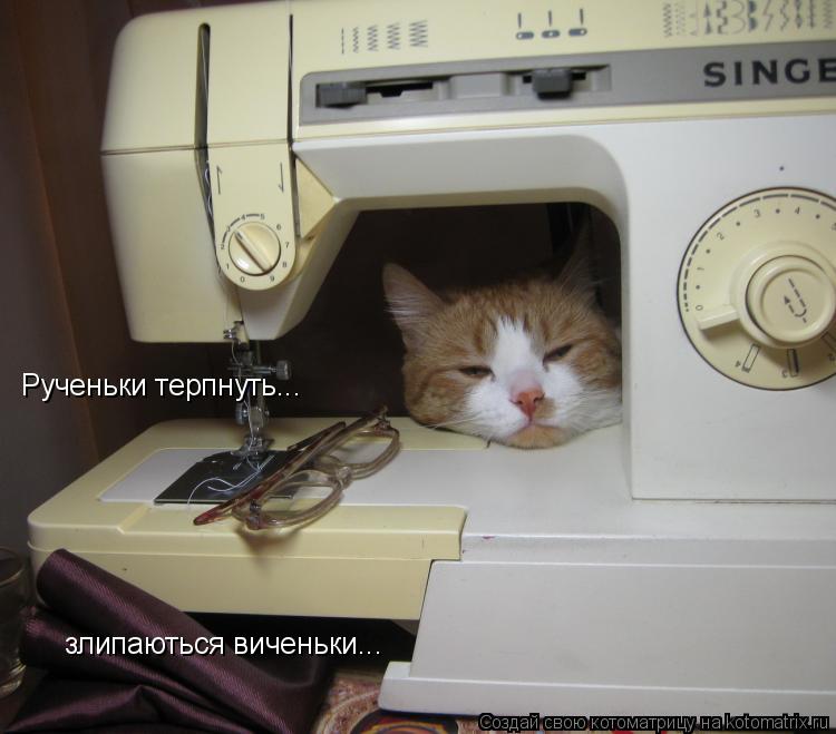 Рученьки терпнуть... злипаються виченьки...... Котоматрица: Рученьки терпнуть... злипаються виченьки...