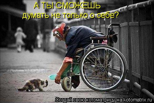 А ТЫ СМОЖЕШЬ думать не только о себе?... Котоматрица: А ТЫ СМОЖЕШЬ думать не только о себе?