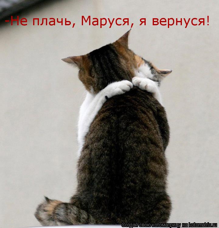 -Не плачь, Маруся, я вернуся!... Котоматрица: -Не плачь, Маруся, я вернуся!