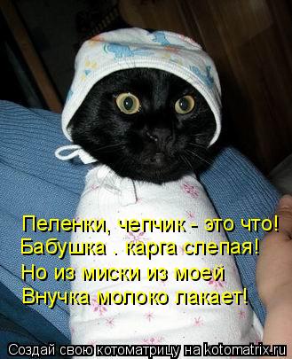Пеленки, чепчик - это что! Бабушка – карга слепая! Но из миски из моей Внучка молоко лакает!... Котоматрица: Пеленки, чепчик - это что! Бабушка – карга слепая! Но из миски из моей Внучка молоко лакает!