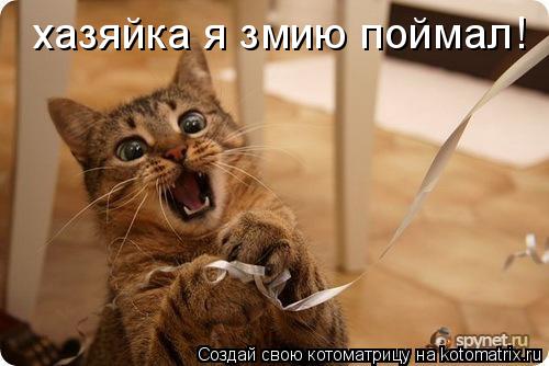 хазяйка я змию поймал!... Котоматрица: хазяйка я змию поймал!