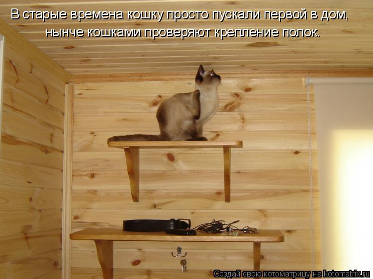 В старые времена кошку просто пускали первой в дом, нынче кошками проверяют крепление полок.... Котоматрица: В старые времена кошку просто пускали первой в дом, нынче кошками проверяют крепление полок.