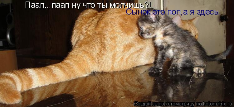 Паап...паап ну что ты молчишь?! Сынок это поп,а я здесь.... Котоматрица: Паап...паап ну что ты молчишь?! Сынок это поп,а я здесь.