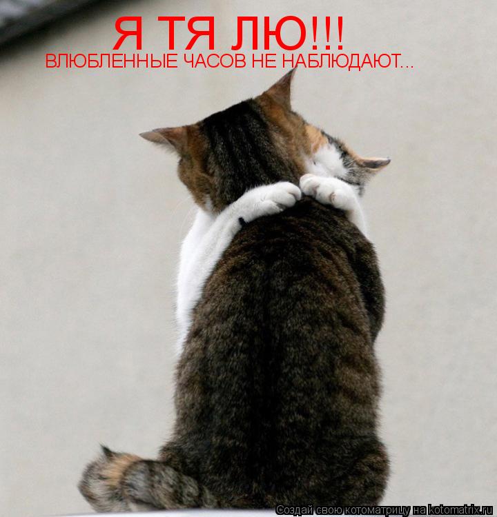 Я ТЯ ЛЮ!!! ВЛЮБЛЕННЫЕ ЧАСОВ НЕ НАБЛЮДАЮТ...... Котоматрица: Я ТЯ ЛЮ!!! ВЛЮБЛЕННЫЕ ЧАСОВ НЕ НАБЛЮДАЮТ...