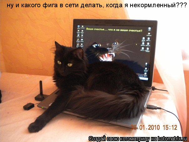 ну и какого фига в сети делать, когда я некормленный???... Котоматрица: ну и какого фига в сети делать, когда я некормленный???