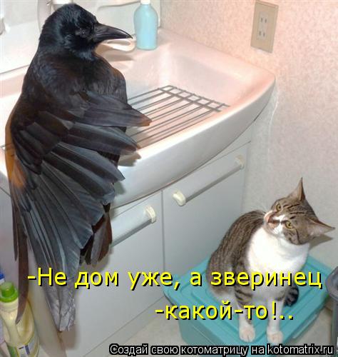 -Не дом уже, а зверинец -какой-то!..... Котоматрица: -Не дом уже, а зверинец -какой-то!..