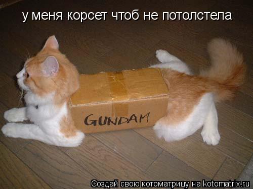 у меня корсет чтоб не потолстела... Котоматрица: у меня корсет чтоб не потолстела