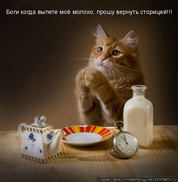 Котоматрица: Боги когда выпете моё молоко, прошу вернуть сторицей!!!