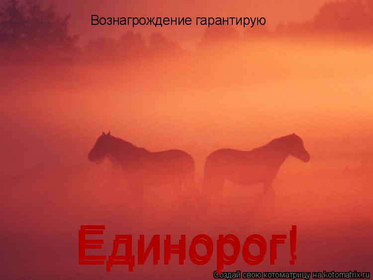 Вознагрождение гарантирую Единорог! Единорог!... Котоматрица: Вознагрождение гарантирую Единорог! Единорог!