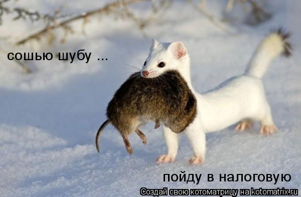 сошью шубу ... пойду в налоговую... Котоматрица: сошью шубу ... пойду в налоговую