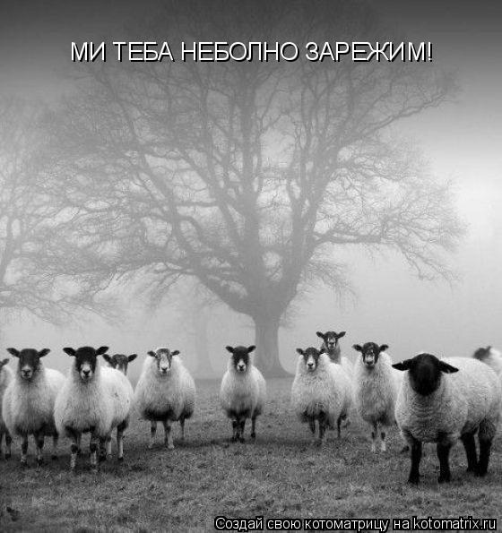 МИ ТЕБА НЕБОЛНО ЗАРЕЖИМ!... Котоматрица: МИ ТЕБА НЕБОЛНО ЗАРЕЖИМ!