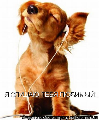 Я СЛУШАЮ ТЕБЯ ЛЮБИМЫЙ...... Котоматрица: Я СЛУШАЮ ТЕБЯ ЛЮБИМЫЙ...