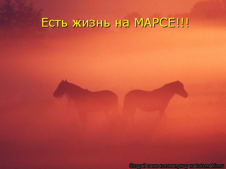 Есть жизнь на МАРСЕ!!!... Котоматрица: Есть жизнь на МАРСЕ!!!