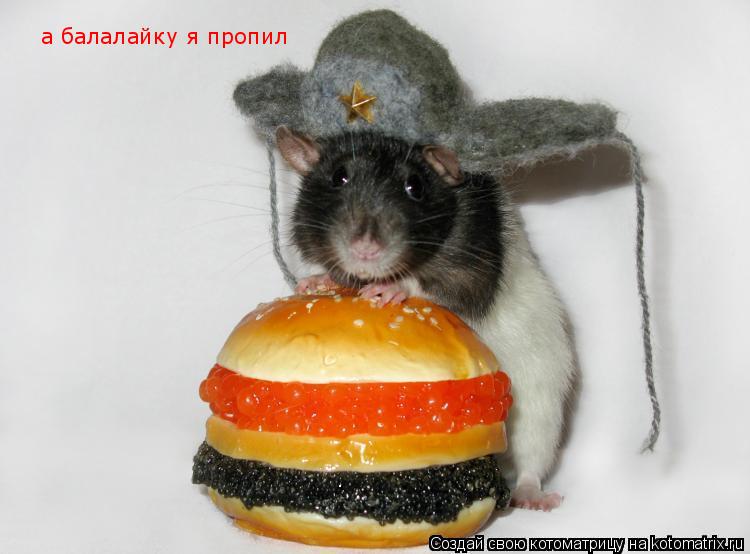 а балалайку я пропил... Котоматрица: а балалайку я пропил