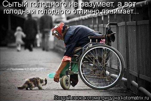 Сытый голодного не разумеет, а вот голодный голодного отлично понимает...... Котоматрица: Сытый голодного не разумеет, а вот голодный голодного отлично понимает...