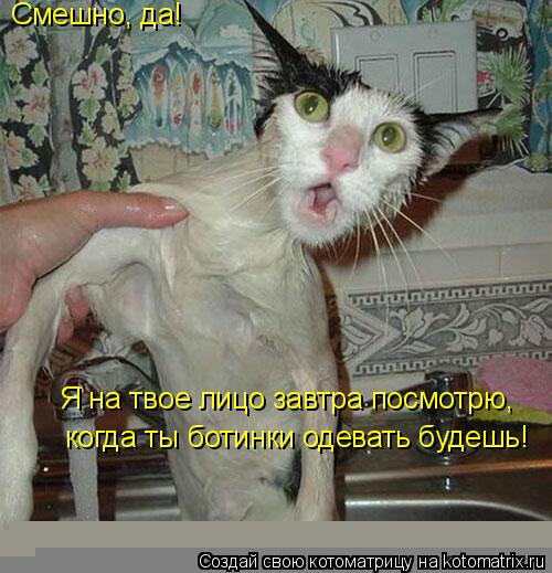 Смешно, да! когда ты ботинки одевать будешь! Я на твое лицо завтра посмотрю,... Котоматрица: Смешно, да! когда ты ботинки одевать будешь! Я на твое лицо завтра посмотрю,