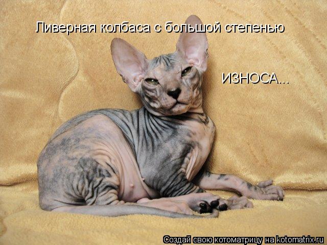 Ливерная колбаса с большой степенью ИЗНОСА...... Котоматрица: Ливерная колбаса с большой степенью ИЗНОСА...