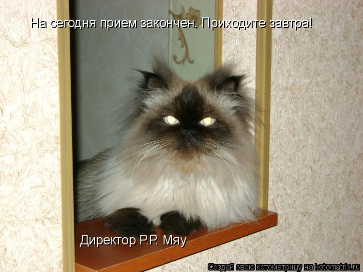 На сегодня прием закончен. Приходите завтра! Директор Р.Р. Мяу... Котоматрица: На сегодня прием закончен. Приходите завтра! Директор Р.Р. Мяу