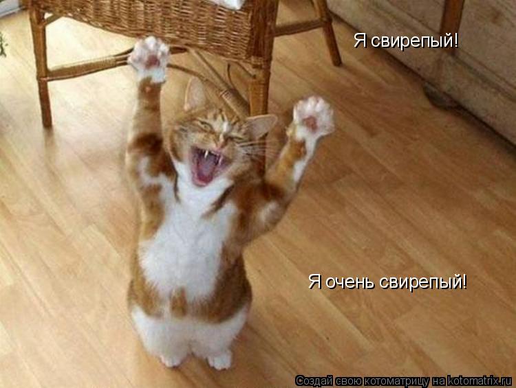 Я свирепый! Я очень свирепый!... Котоматрица: Я свирепый! Я очень свирепый!