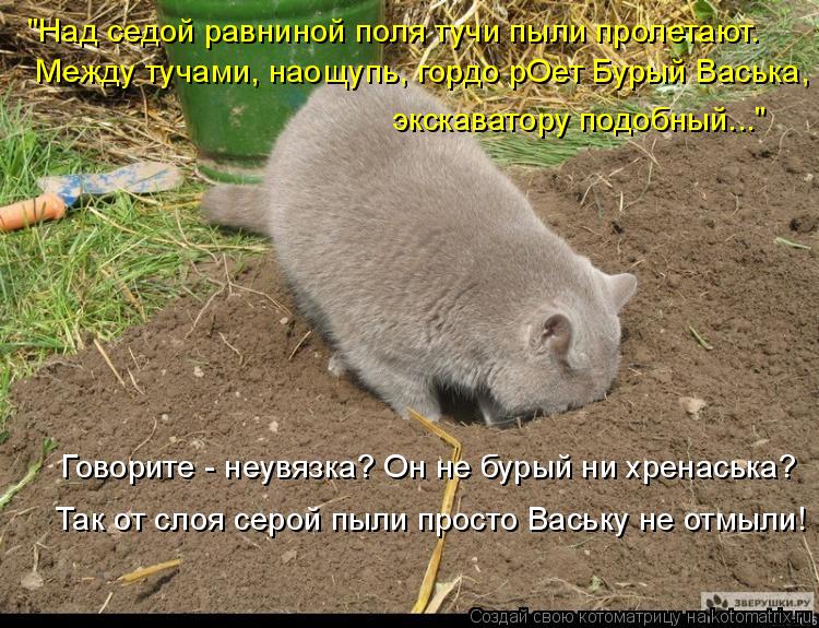 "Над седой равниной поля тучи пыли пролетают. Между тучами, наощупь, гордо рОет Бурый Васька, экскава... Котоматрица: "Над седой равниной поля тучи пыли пролетают. Между тучами, наощупь, гордо рОет Бурый Васька, экскаватору подобный..." Говорите - неувязка? Он