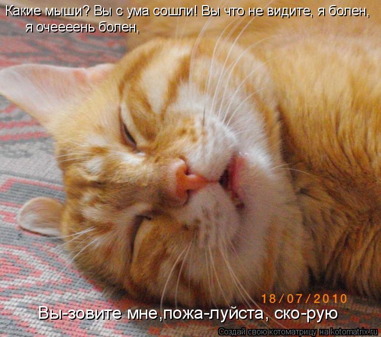 Какие мыши? Вы с ума сошли! Вы что не видите, я болен, я очеееень болен, Вы-зовите мне,пожа-луйста, с... Котоматрица: Какие мыши? Вы с ума сошли! Вы что не видите, я болен, я очеееень болен, Вы-зовите мне,пожа-луйста, ско-рую