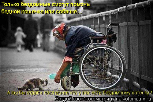 Только бездомные смогут помочь бедной кошечке или собачке... А вы бы отдали последнее что у вас есть ... Котоматрица: Только бездомные смогут помочь бедной кошечке или собачке... А вы бы отдали последнее что у вас есть бездомному котёнку?