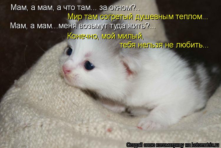 Мам, а мам, а что там... за окном?.. Мир там согретый душевным теплом... Мам, а мам...меня возьмут ту... Котоматрица: Мам, а мам, а что там... за окном?.. Мир там согретый душевным теплом... Мам, а мам...меня возьмут туда жить?... Конечно, мой милый, тебя нельзя не л