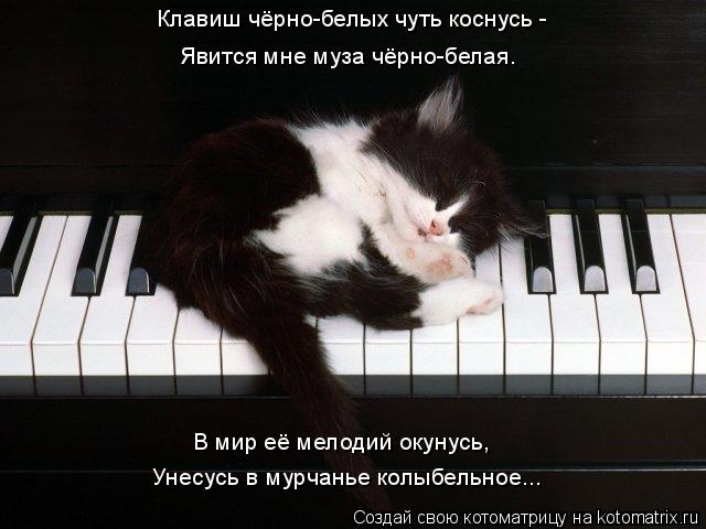 Явится мне муза чёрно-белая. В мир её мелодий окунусь, Унесусь в мурчанье колыбельное... Клавиш чёрно... Котоматрица: Явится мне муза чёрно-белая. В мир её мелодий окунусь, Унесусь в мурчанье колыбельное... Клавиш чёрно-белых чуть коснусь -