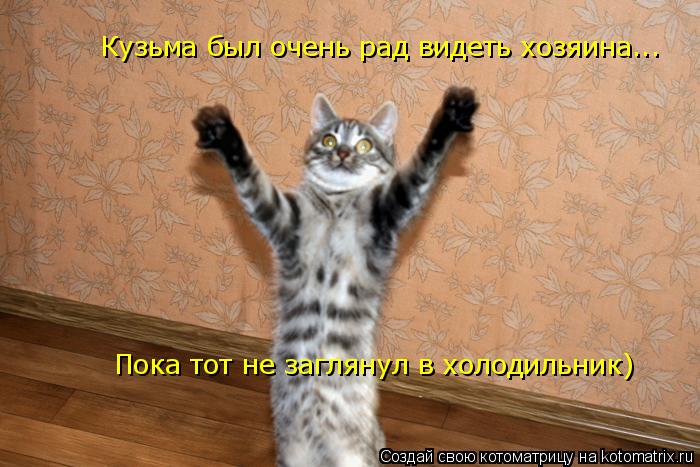 Кузьма был очень рад видеть хозяина... Пока тот не заглянул в холодильник)... Котоматрица: Кузьма был очень рад видеть хозяина... Пока тот не заглянул в холодильник)