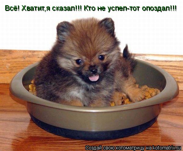 Всё! Хватит,я сказал!!! Кто не успел-тот опоздал!!!... Котоматрица: Всё! Хватит,я сказал!!! Кто не успел-тот опоздал!!!