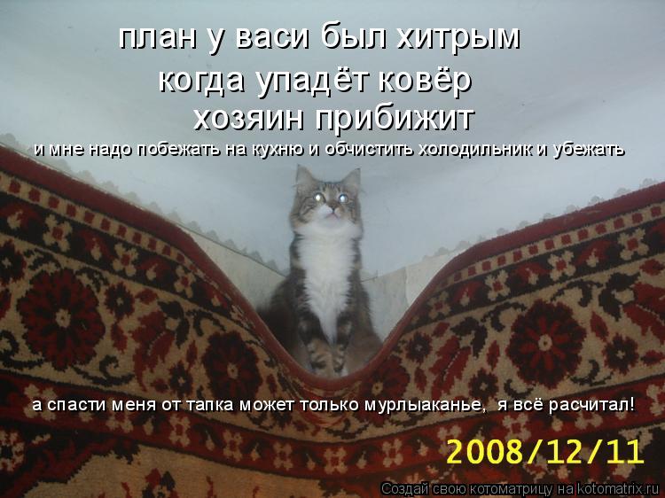 план у васи был хитрым когда упадёт ковёр хозяин прибижит и мне надо побежать на кухню и обчистить ... Котоматрица: план у васи был хитрым когда упадёт ковёр хозяин прибижит и мне надо побежать на кухню и обчистить холодильник и убежать а спасти меня от т