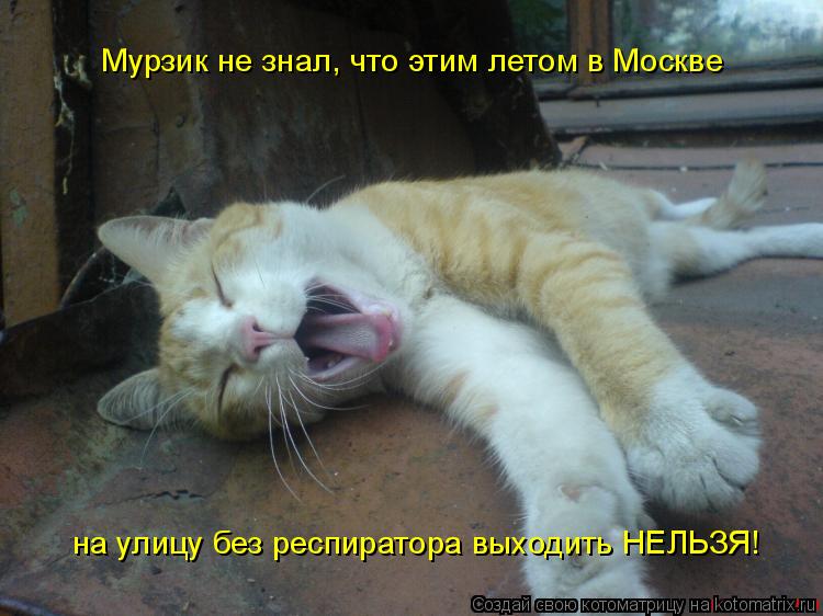 Мурзик не знал, что этим летом в Москве на улицу без респиратора выходить НЕЛЬЗЯ!... Котоматрица: Мурзик не знал, что этим летом в Москве на улицу без респиратора выходить НЕЛЬЗЯ!